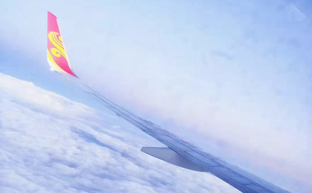 飛回濟(jì)南 飛回濟(jì)南